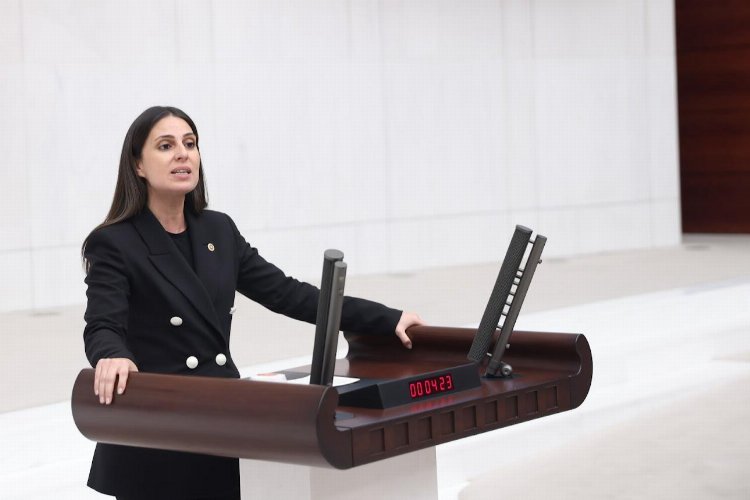 CHP’li Özcan: “Muğla, turist sayısına göre merkezi bütçeden pay almalıdır”