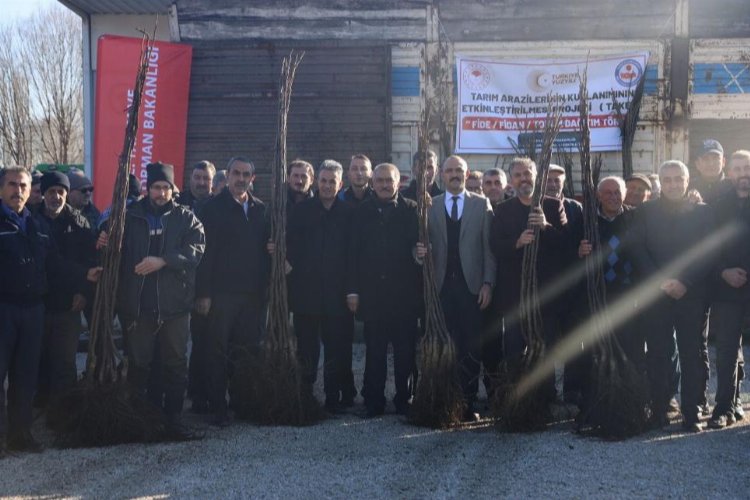 Bilecik Gölpazarı’nda hibeli ceviz fidanları dağıtıldı