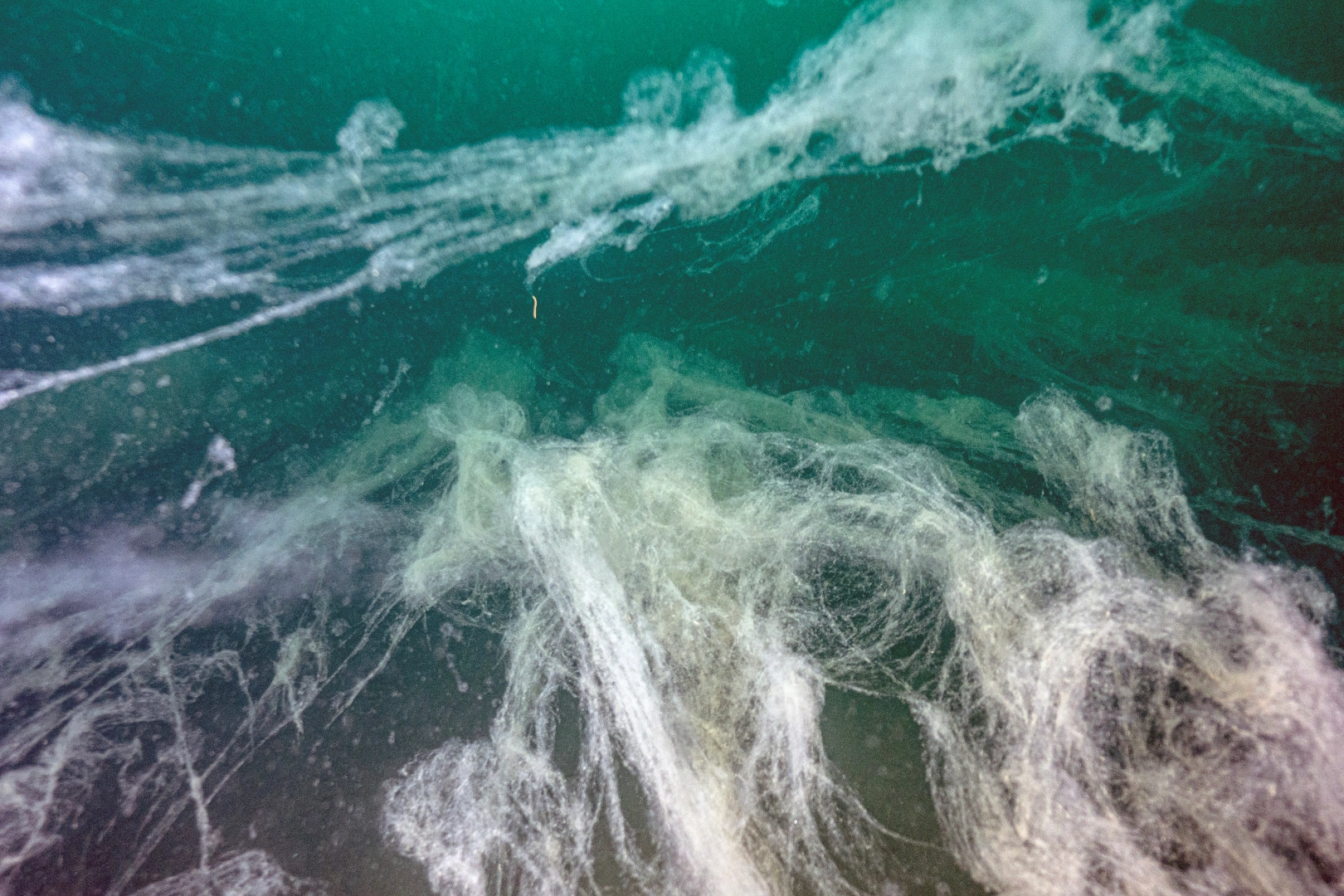 Müsilaj yeniden yayılıyor… Prof. Dr. Sarı: Artık iş uygulayıcılardadır