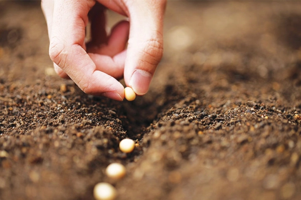 Tarımsal girdi fiyatları arttı… Tarımsal en yüksek girdi tohumda