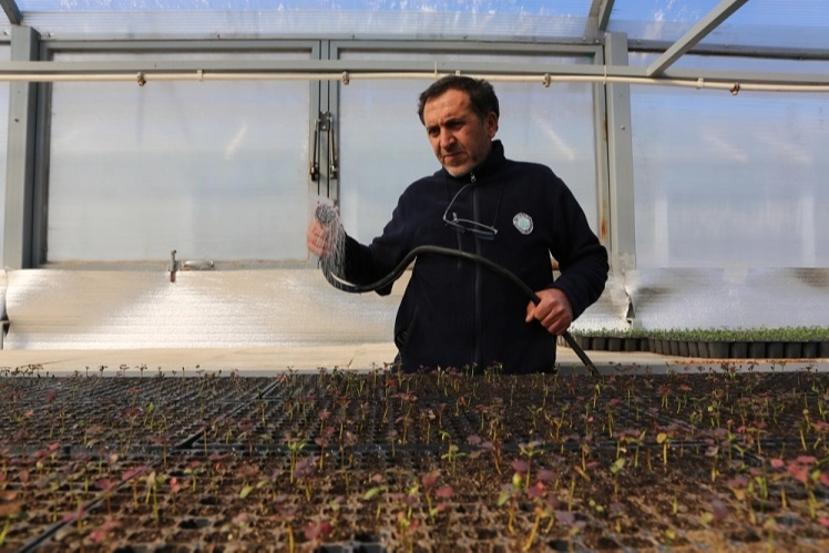 Eskişehir’in yeşil yüzü şehri süslüyor