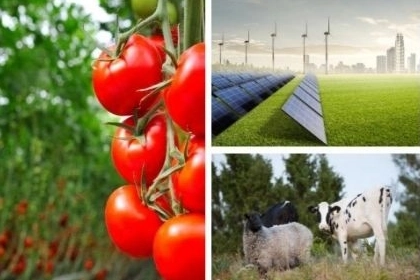 Tarımda yeni destek dönemi:  Yatırımlara yüzde 50 hibe fırsatı!