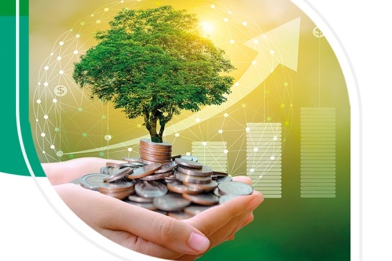 Bankalar ‘yeşil varlık oranını’ raporlaştıracak