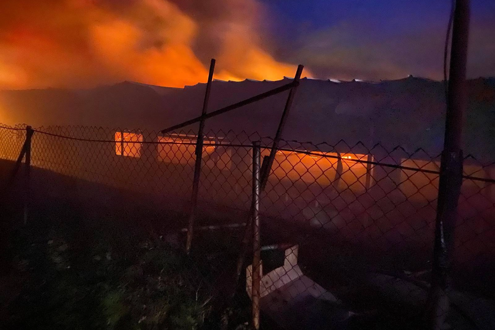 Bilecik Pazaryeri’nde tavuk çiftliğinde korkutan yangın!