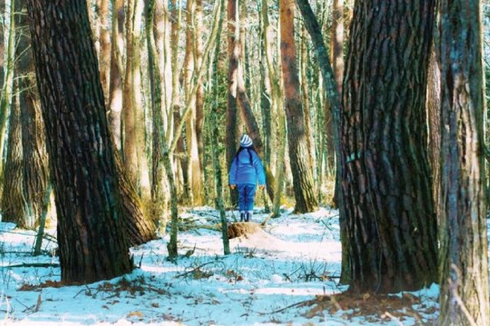 İzmir’in dört bir yanında kültür var
