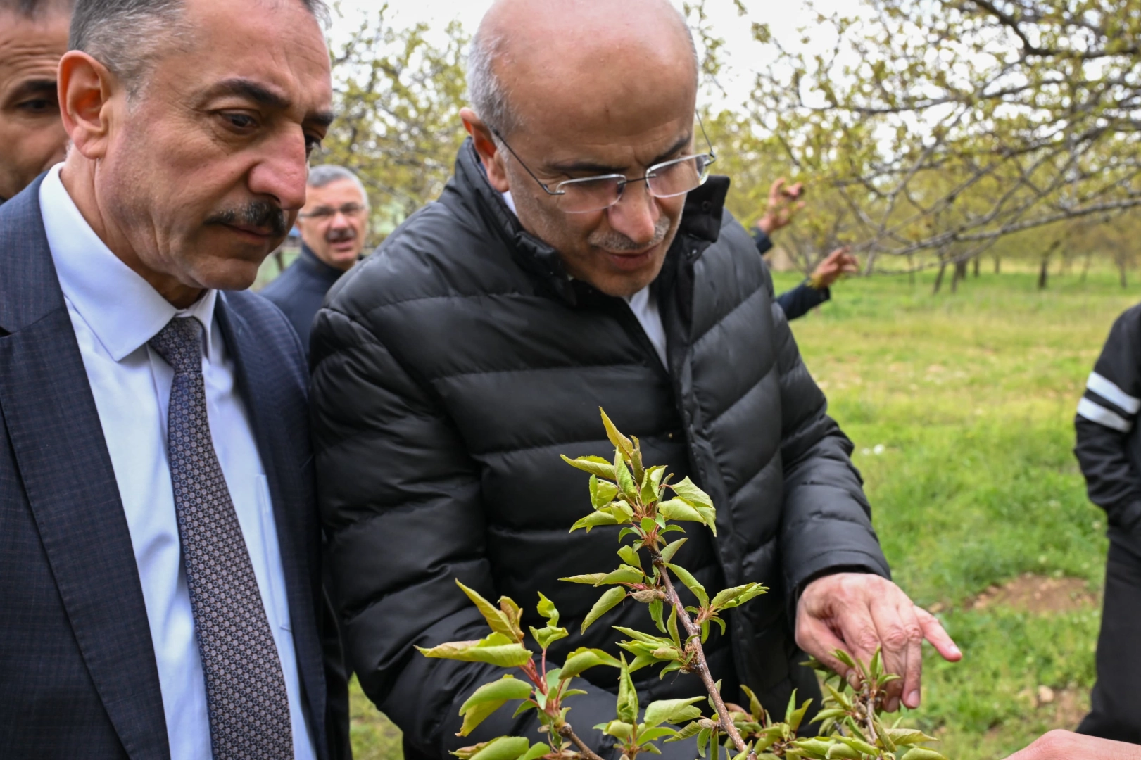 Malatya’da zirai dondan etkilenen çiftçilere ziyaret