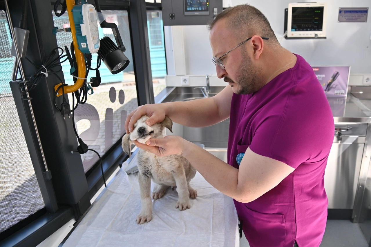 Manisa’da Vetbüs projesi hizmete başladı