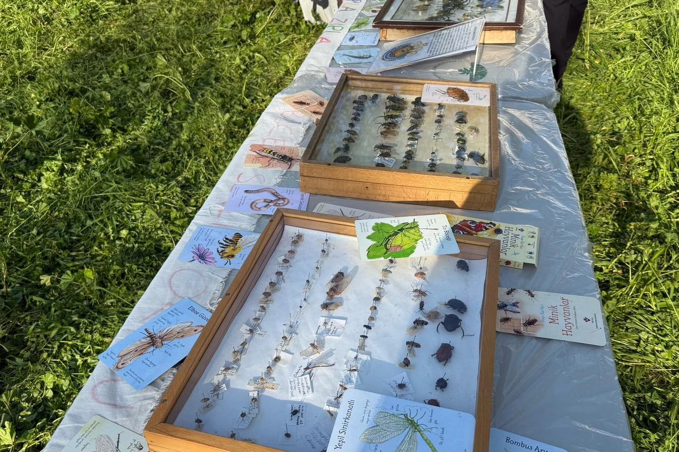 Bursa Osmangazi’de ‘Böcek Bilim’ buluşması yapıldı