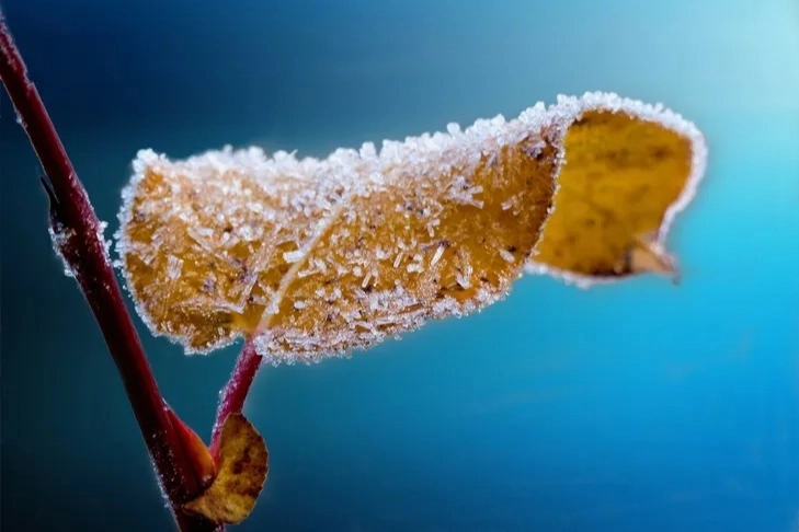 Ankara’dan 6 bin 500 üreticiye ‘zirai don’ desteği
