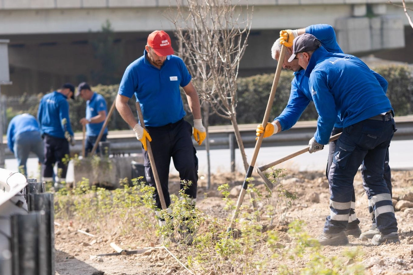 İzmir ‘daha yeşil’ olacak