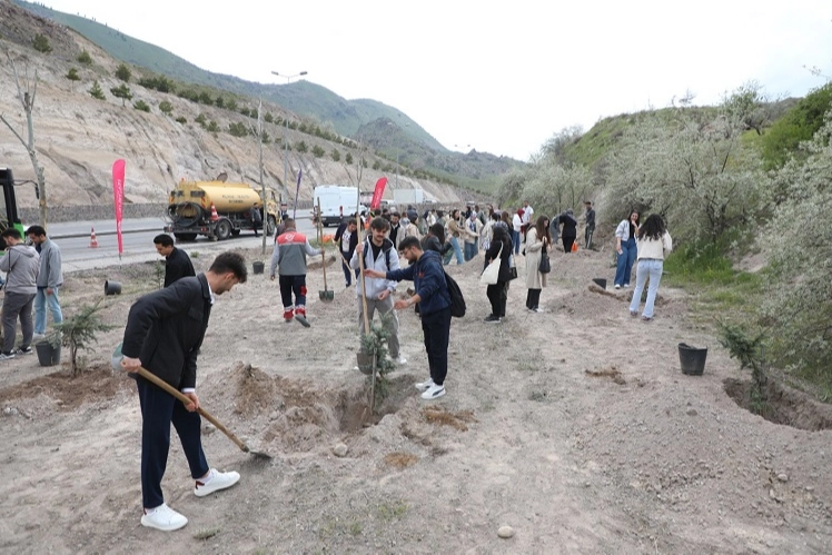 Kayseri Melikgazi’nin yeşil dokusu güçleniyor