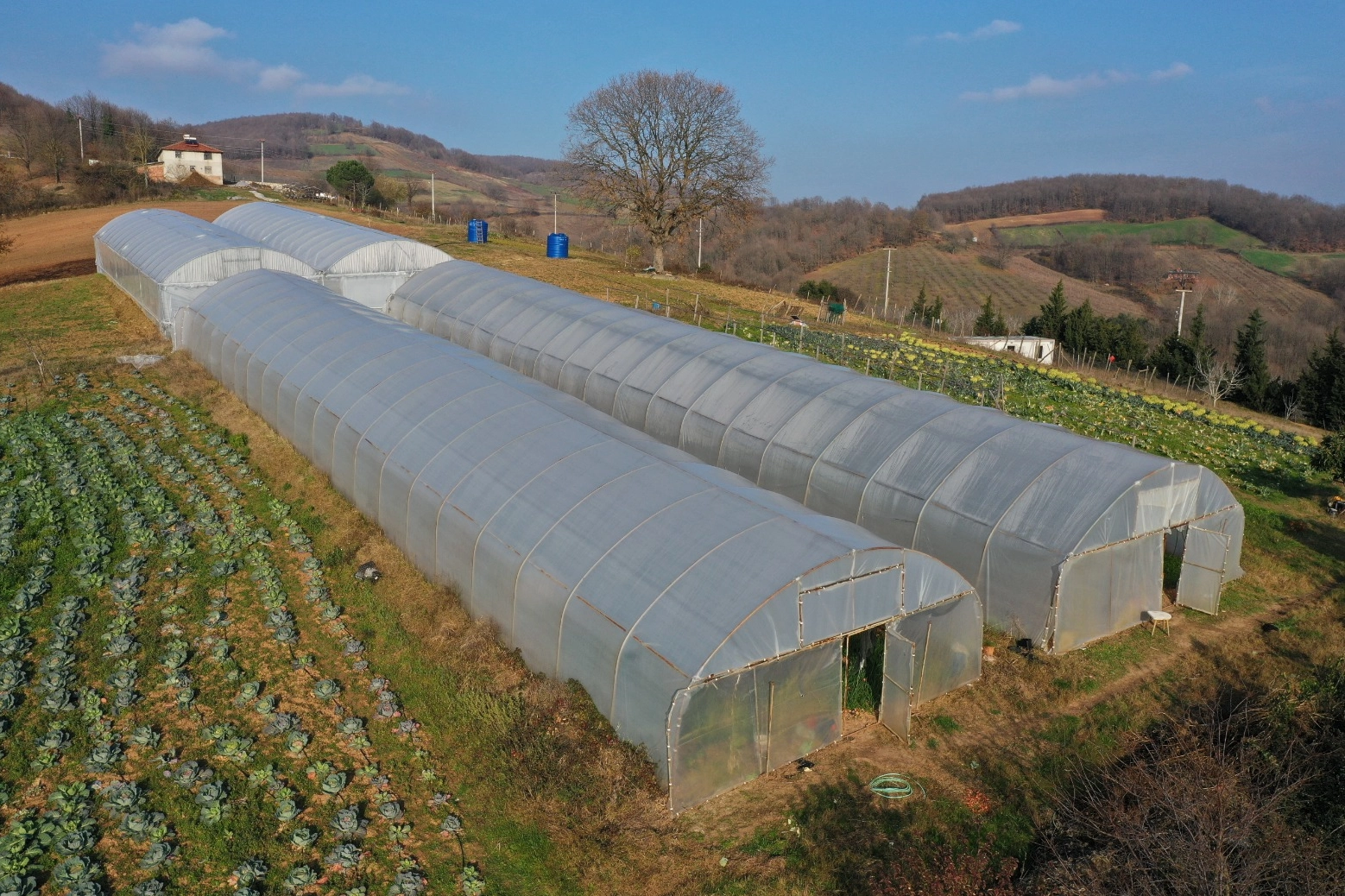 Kocaeli’den yüzde 50 hibeli sera desteği