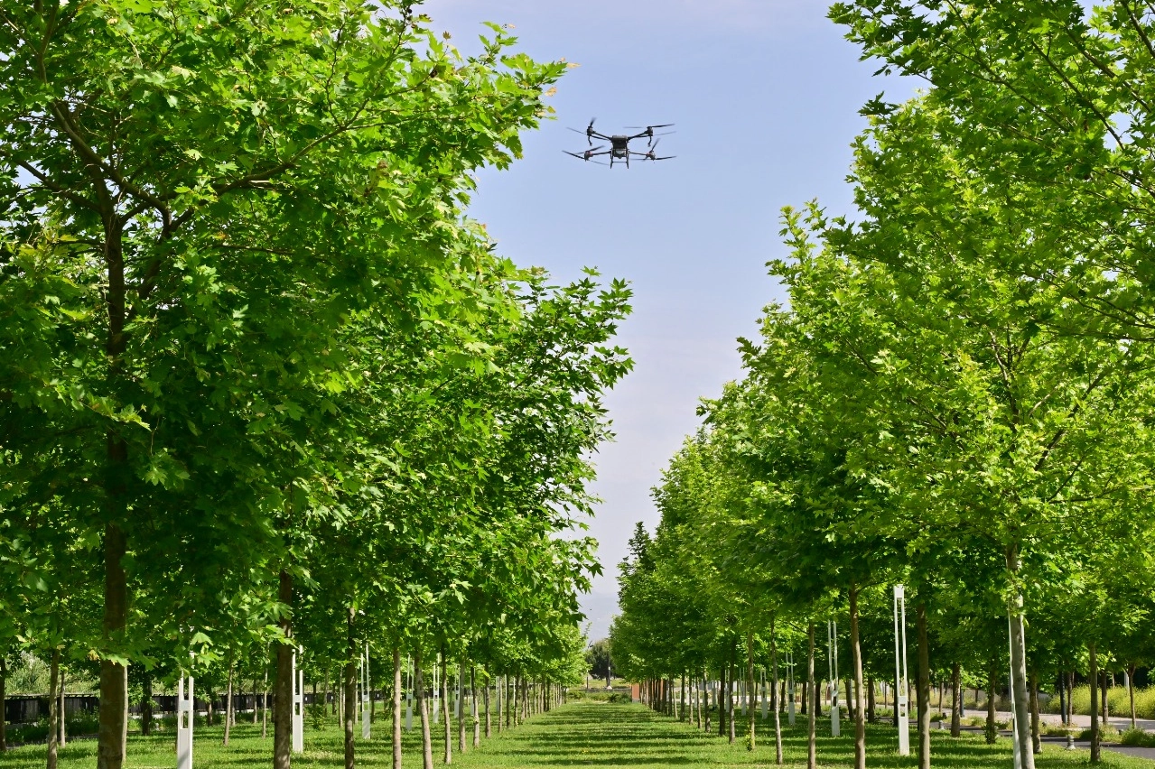 Manisa’da haşereyle mücadeleye aralıksız devam ediyor