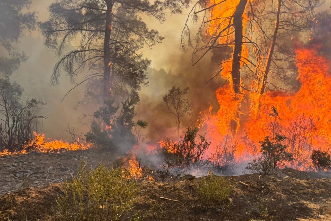 OGM’den kritik uyarı! Sıcaklık arttı 6 ilde ormanlara giriş yasaklandı!