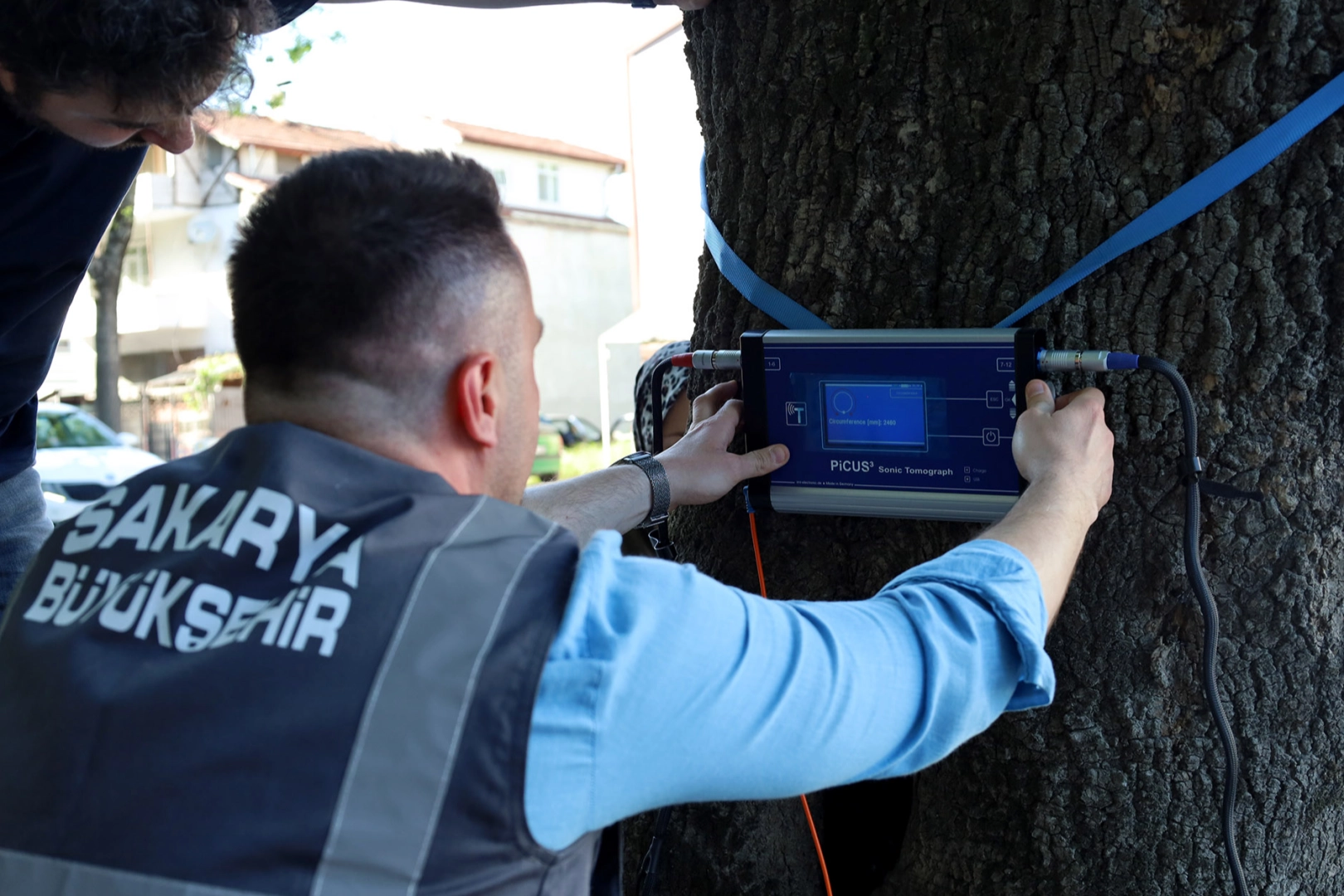 Sakarya’dan doğaya ‘şifa’ gibi adım… Yeşil cennetin tomografisi çekilecek