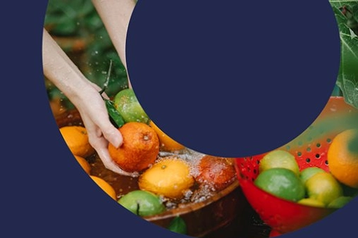 Türkiye’den ‘PlantHealth4Life’ kampanyasına destek