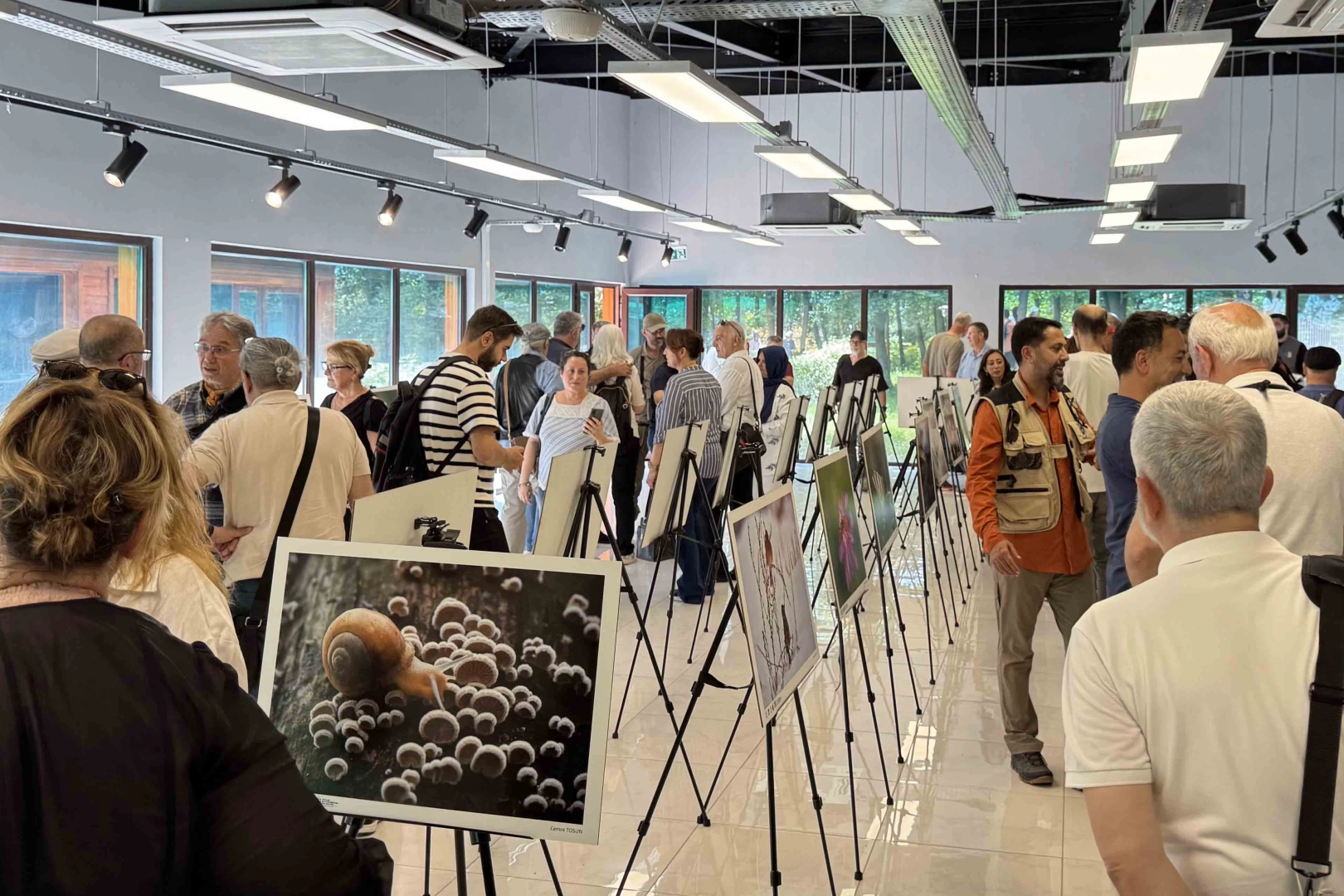 ‘Türkiye’nin Doğası’ sergisi sanatseverlerle buluşuyor!