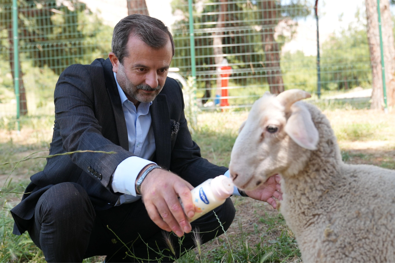Bursa Gürsu’ya butik hayvanat bahçesi