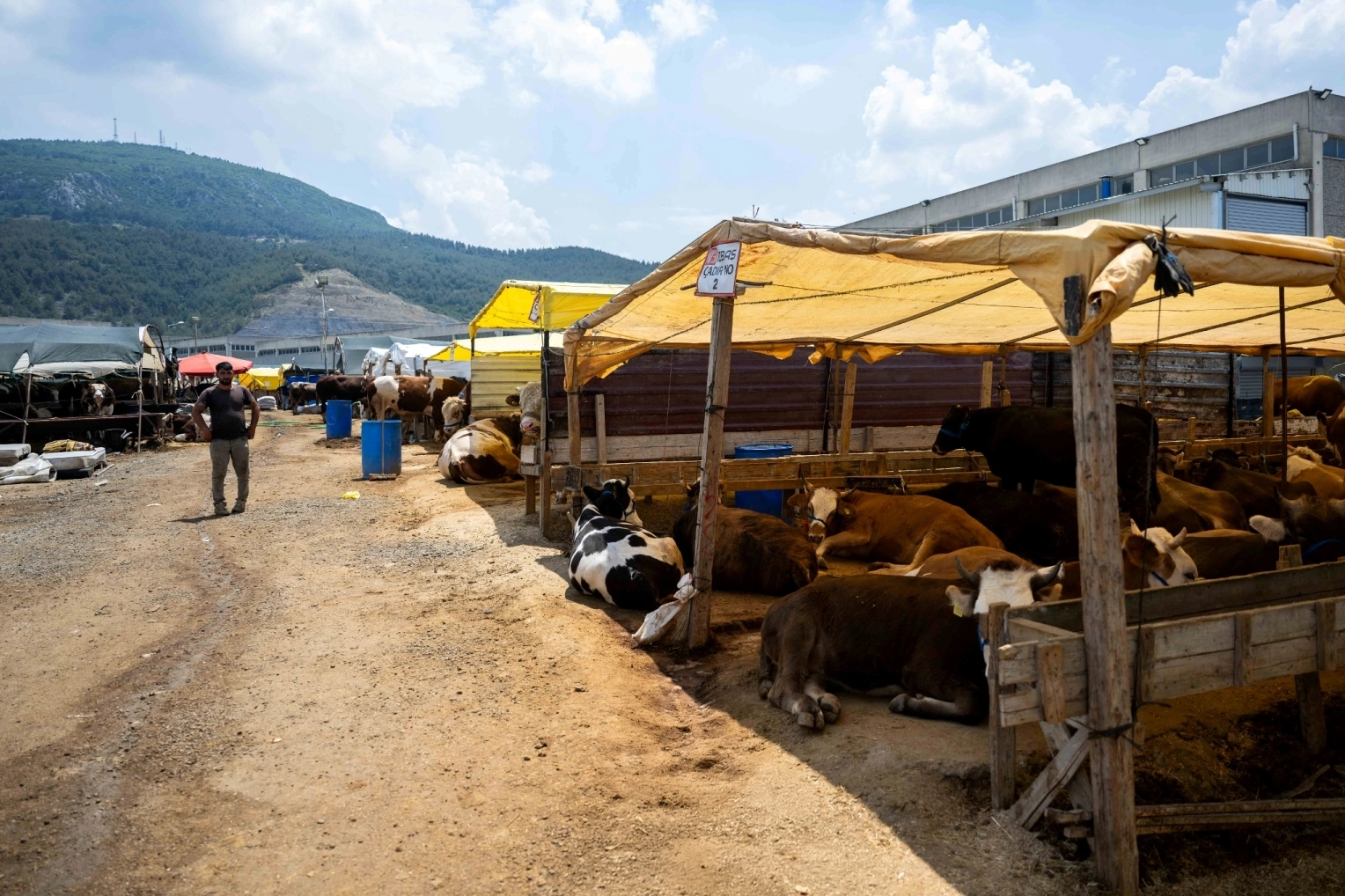 İzmir Bornova’da Kurban Pazarı kapılarını açtı
