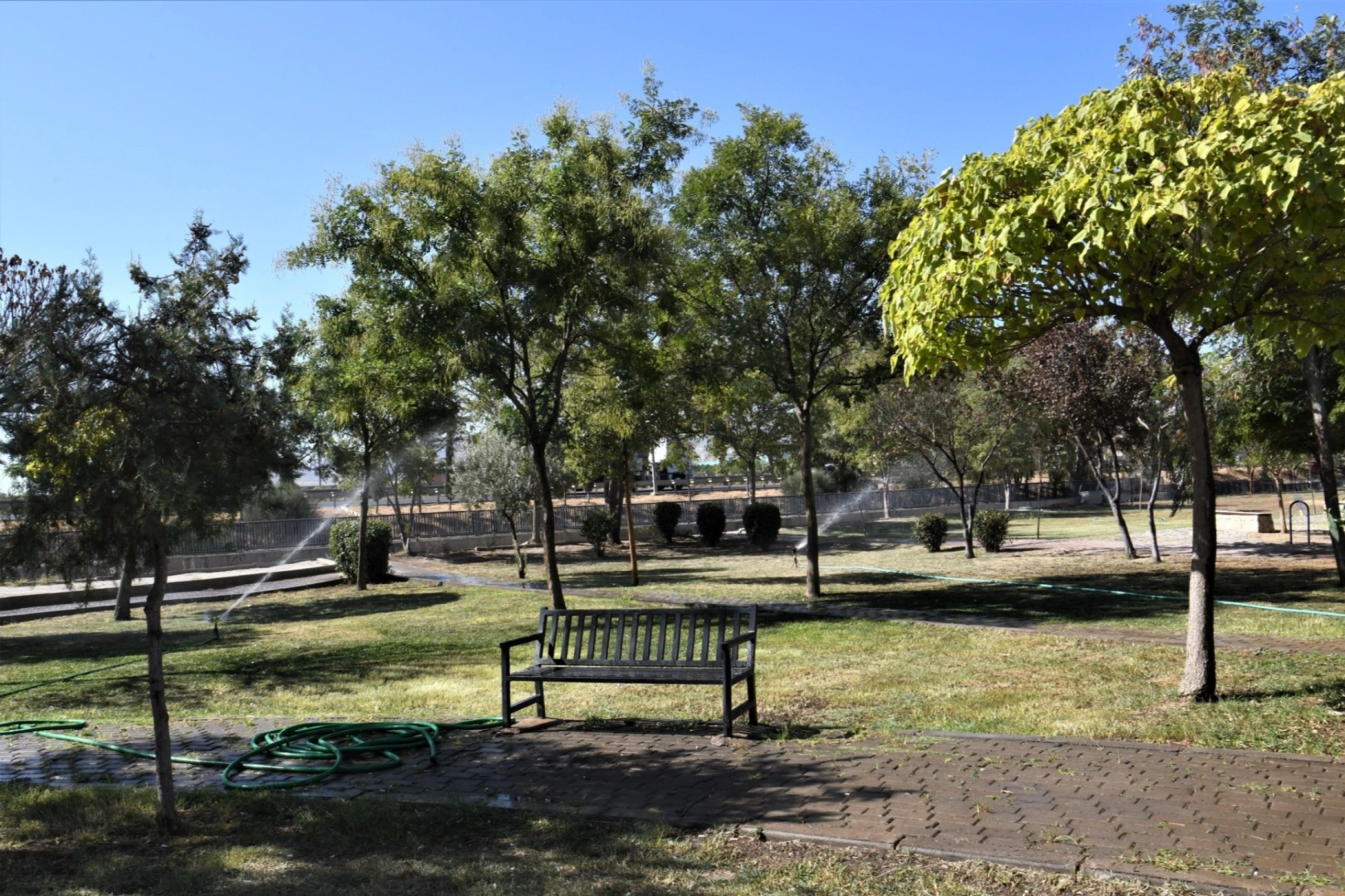 İzmir Bornova’dan ‘Yeşil Dönüşüm’ hamlesi