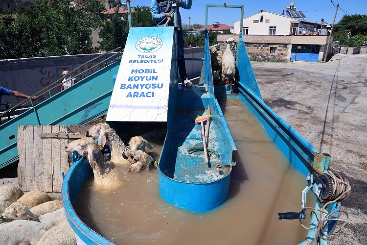 Kayseri Talas’tan keneyle mobil mücadele