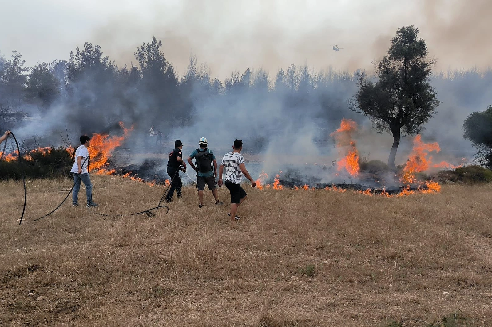 Muğla Büyükşehir ekipleri 6 Ayda 380 anız yangınına müdahale etti
