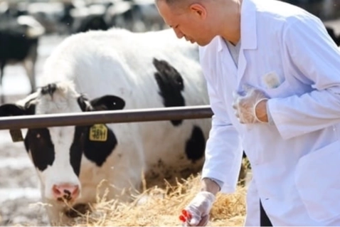 Tarımsal girdiler Nisan’da da hız kesmedi… Veteriner harcamaları ve hayvan yemi  revaçta