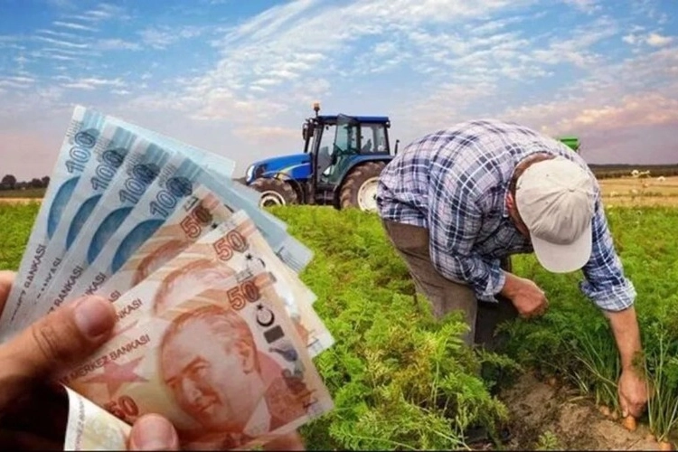 Çiftçilere 865 milyon TL’lik destek ödemesi hesaplarda