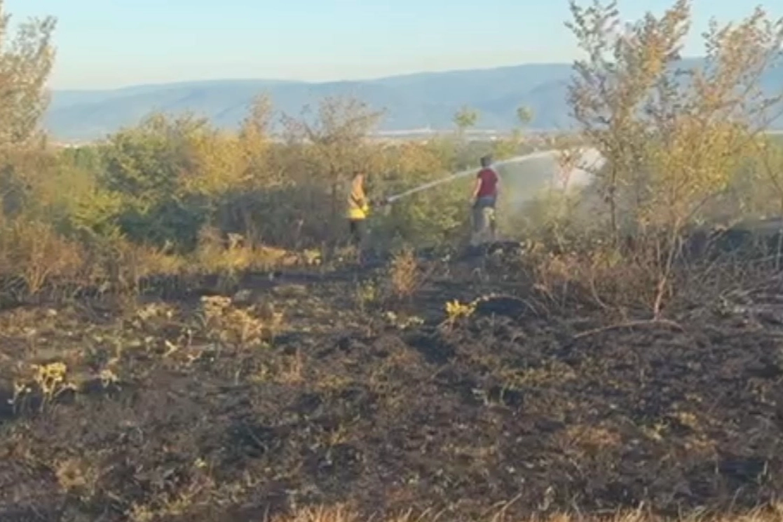 Düzce Konuralp’te örtü yangını kontrol altında