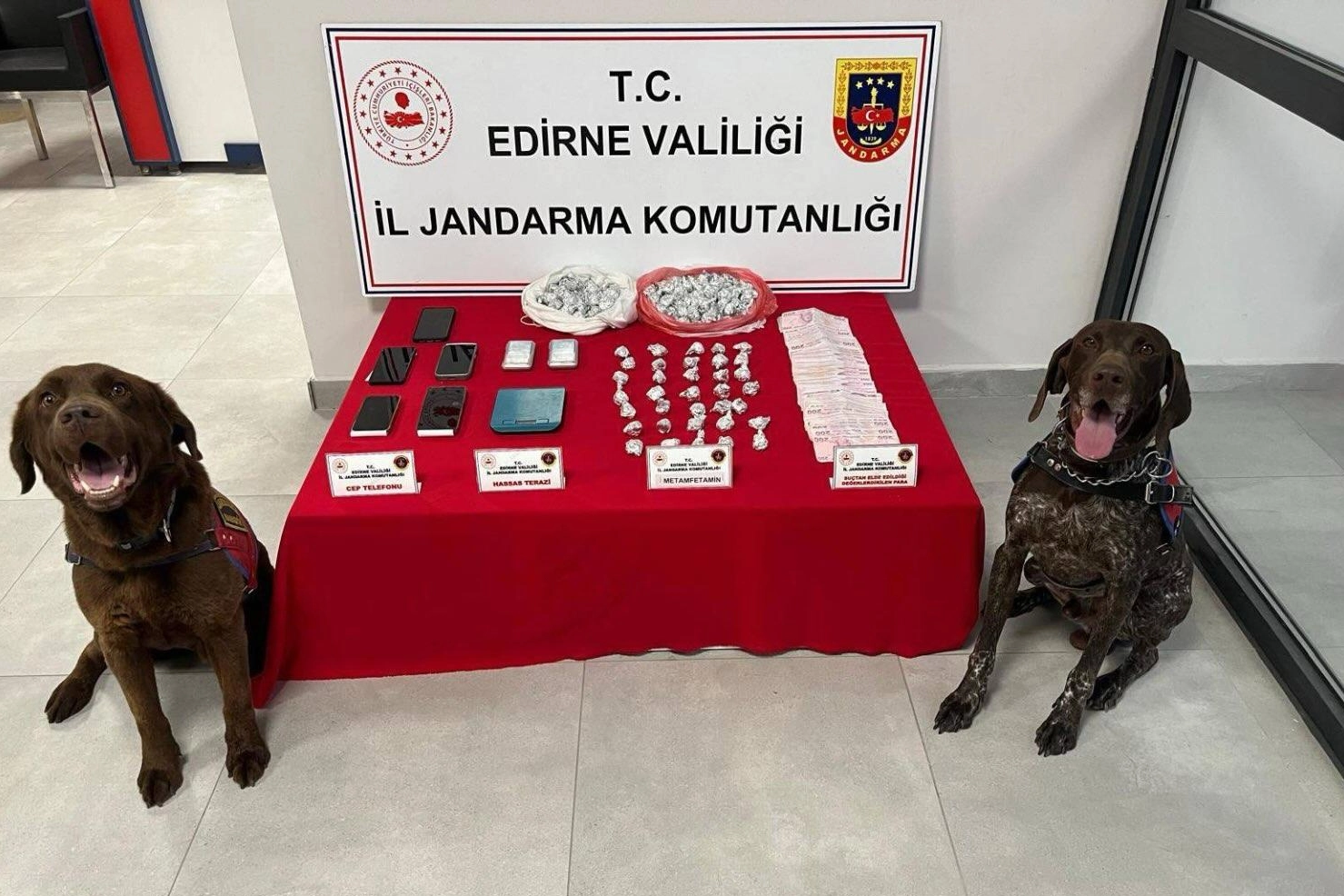 Edirne Keşan Jandarması’ndan uyuşturucu operasyonu