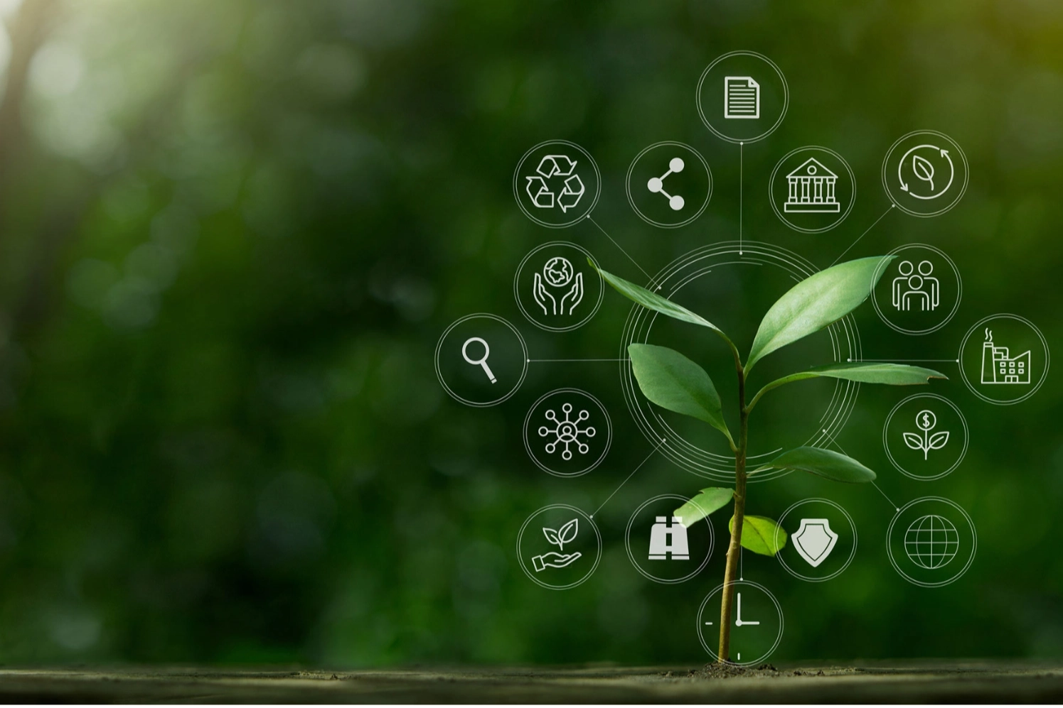 İklim Kanunu ‘Resmi’leşti… İklim değişikliğiyle mücadelede yeni dönem