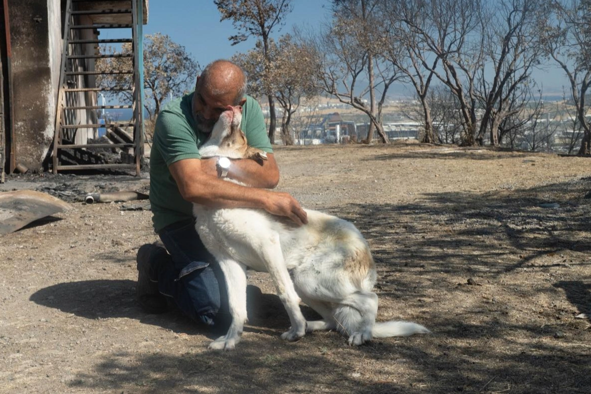 İzmir’de yangından kurtarılan Kaptan’a sıcak yuva