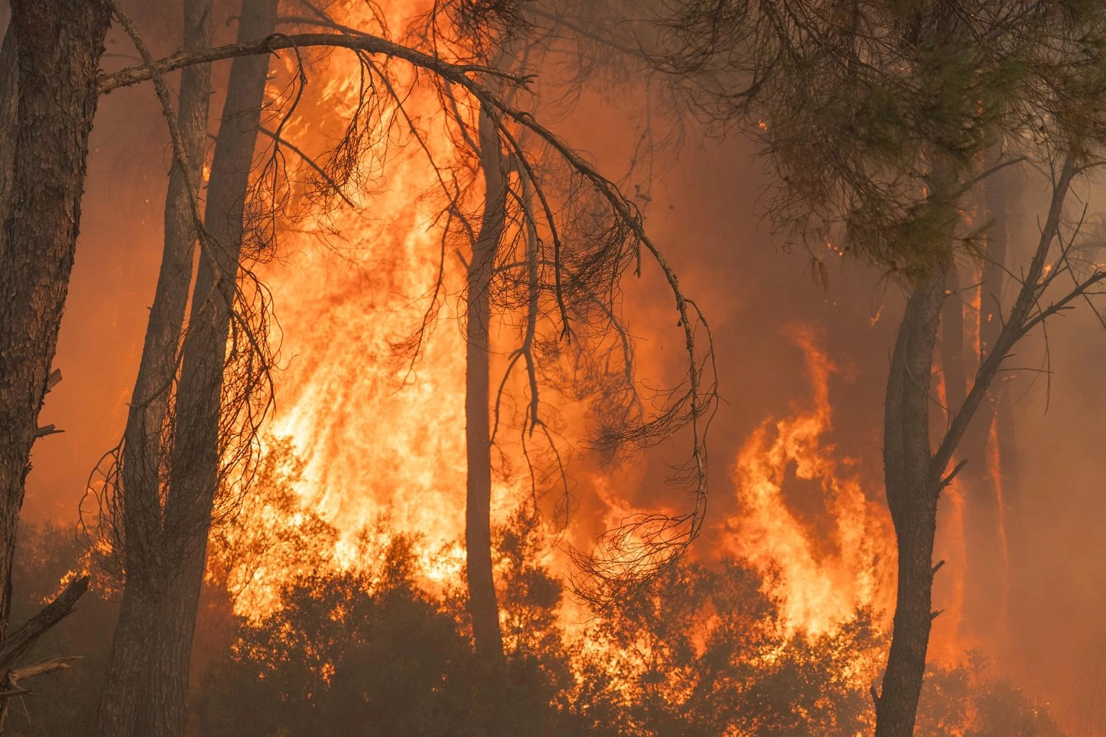 İzmir Gaziemir’deki yangın kontrol altında