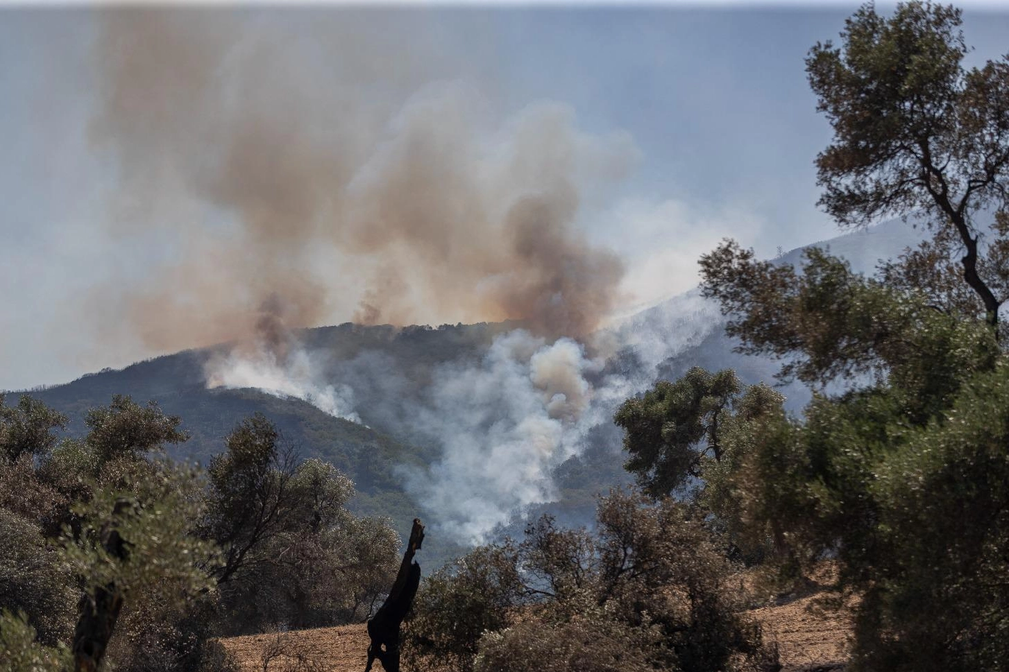 Aydın Köşk’teki yangın kontrol altında
