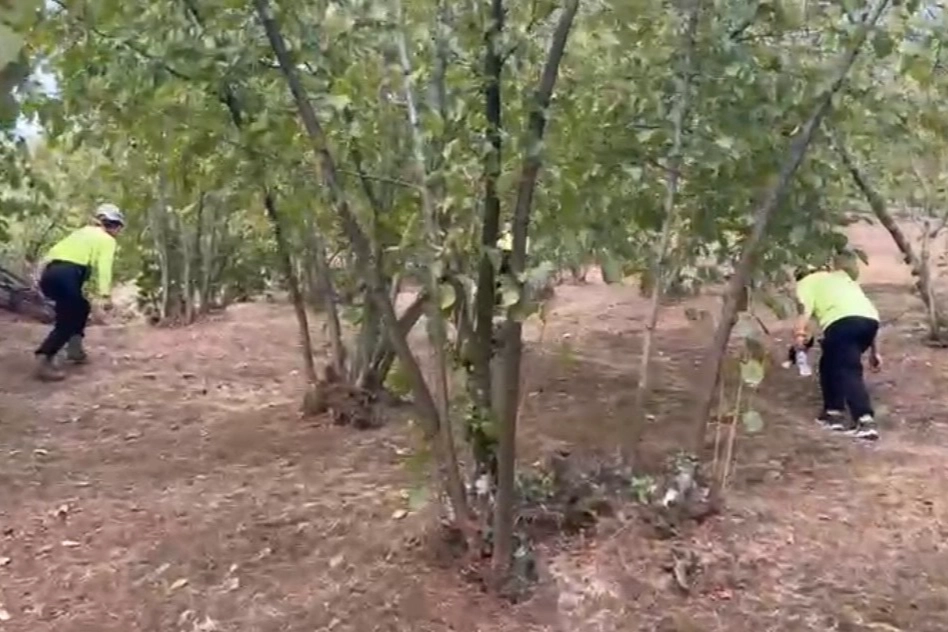 Düzce’de 81 yaşındaki kayıp kadın aranıyor