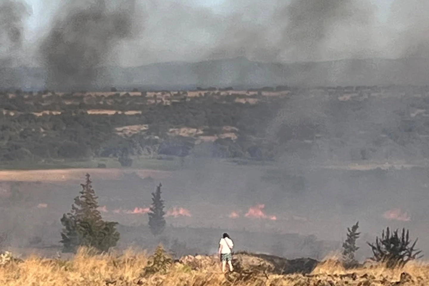 Enez’de orman yangını paniği… Gülçavuş sahili boşaltılıyor
