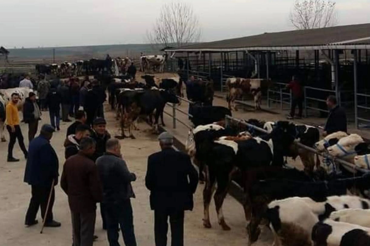 Edirne Keşan’da canlı hayvan pazarı kapatıldı