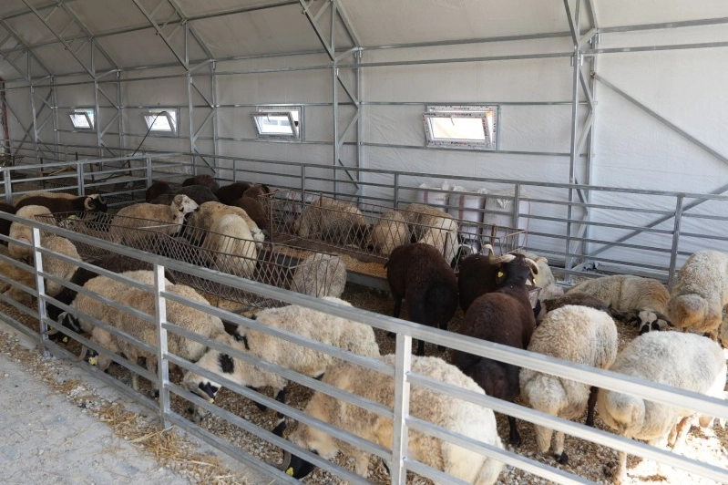 Eskişehir’de hayvan pazarı geçici süreyle kapatıldı