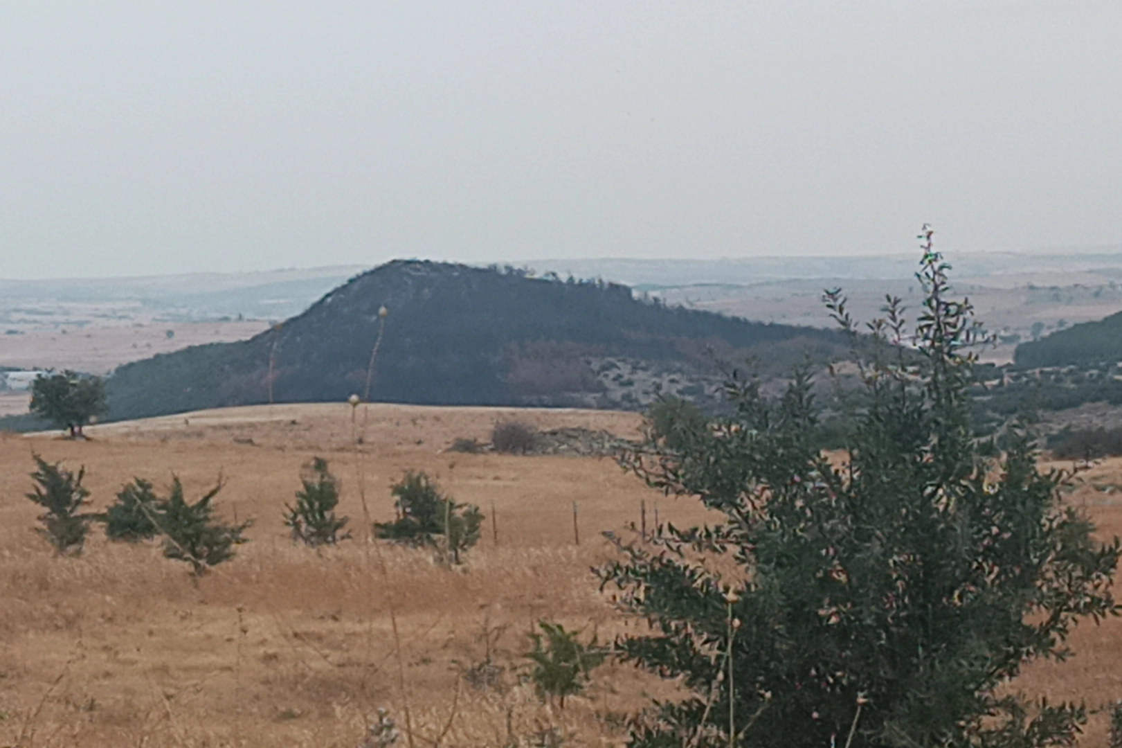 Keşan Sivritepe’ye fidan dikimi müjdesi… 11 Kasım’da yeşillenecek