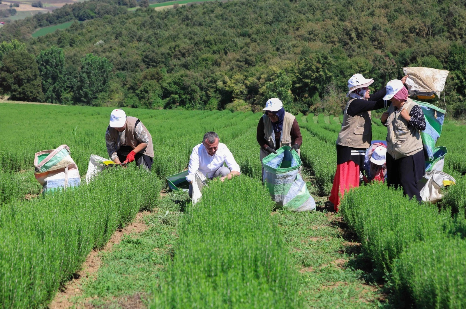 Kocaeli’de Büyükşehir destekliyor, üretim artıyor