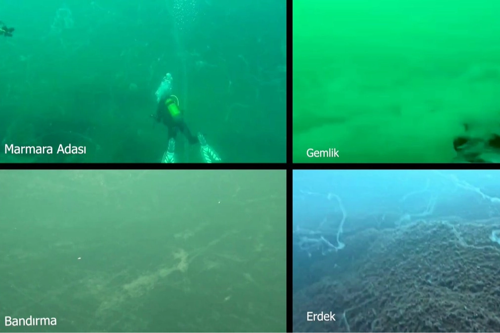 Marmara Denizi’nde müsilaj alarmı! Prof. Dr. Mustafa Sarı’dan acil çağrı