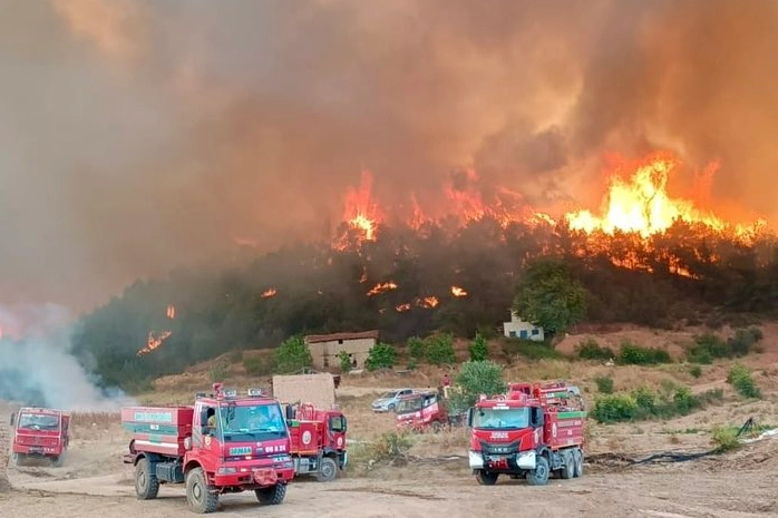 Orman yangınlarıyla mücadelede gönüllülere yeni haklar… Orman gönüllüleri de ‘şehit’ statüsüne alındı