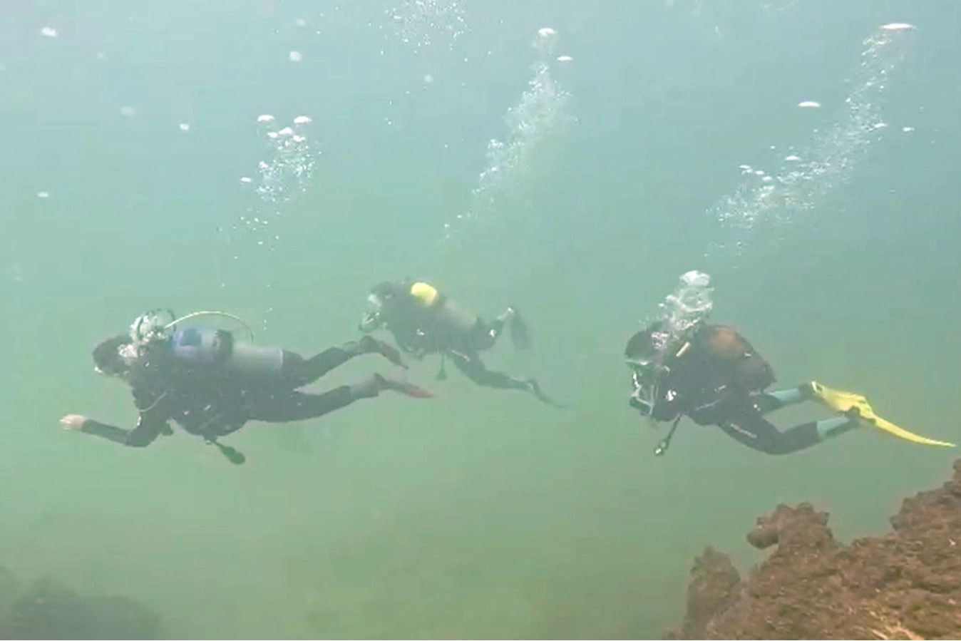 Van Gölü’nün zenginliğini keşfediyorlar