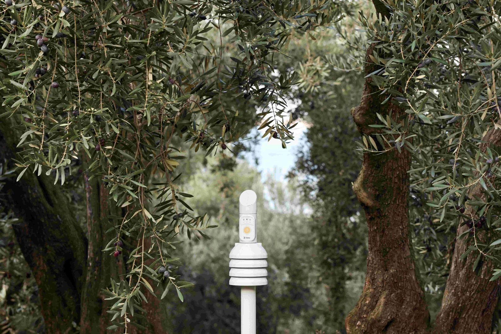 Cargill’in 1000 Çiftçi 1000 Bereket programı 7’nci yılında