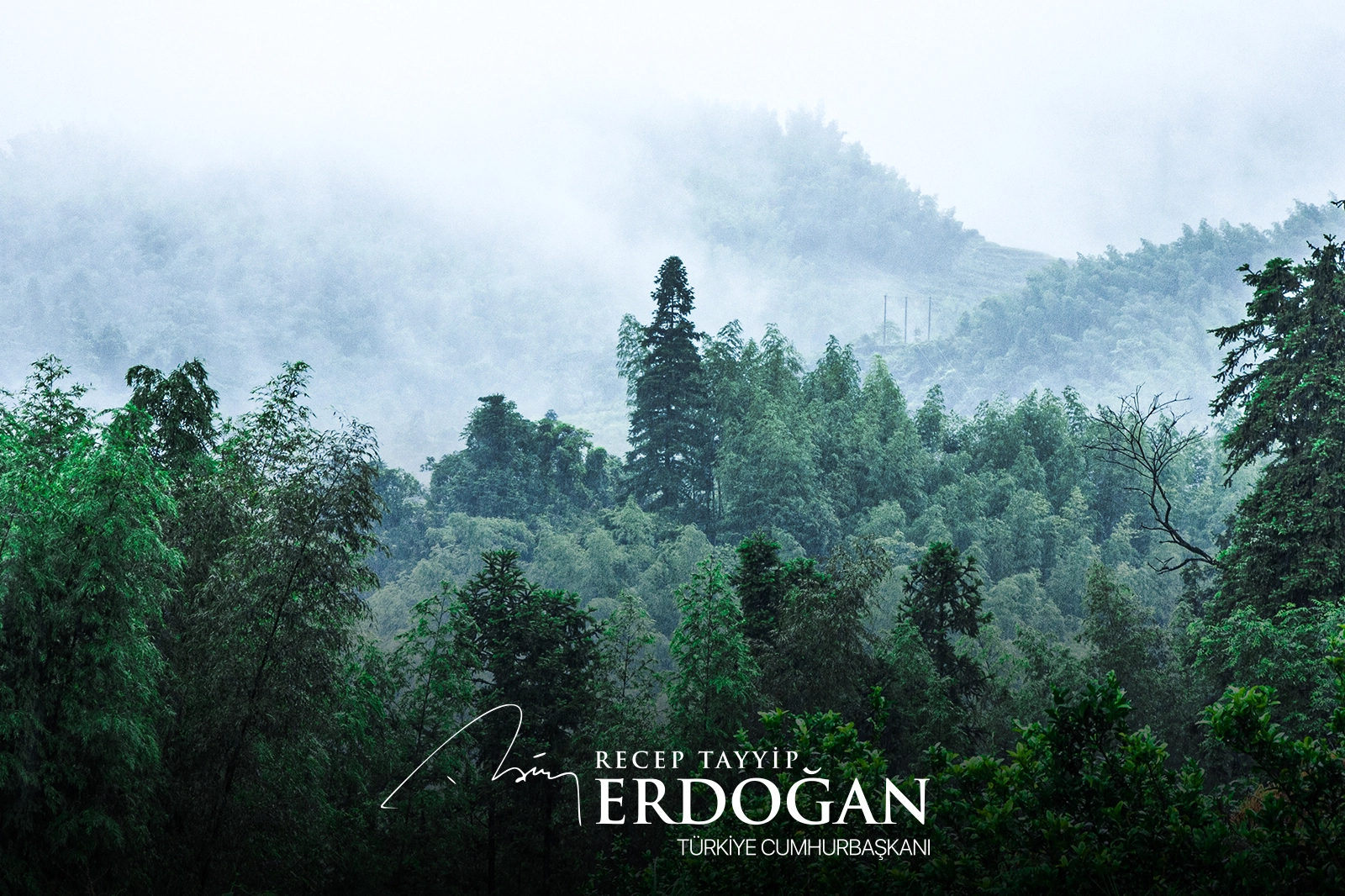 Cumhurbaşkanı Erdoğan’dan ‘Yeşil Vatan Seferberliği’ çağrısı