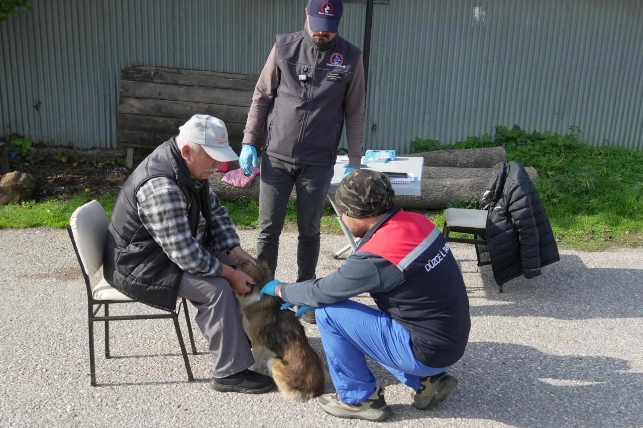 Düzce’de yerinde sahiplendiriliyor!