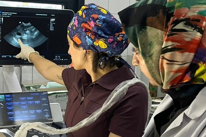 Fatih Belediyesi’nden sokak hayvanlarına modern tanı hizmeti