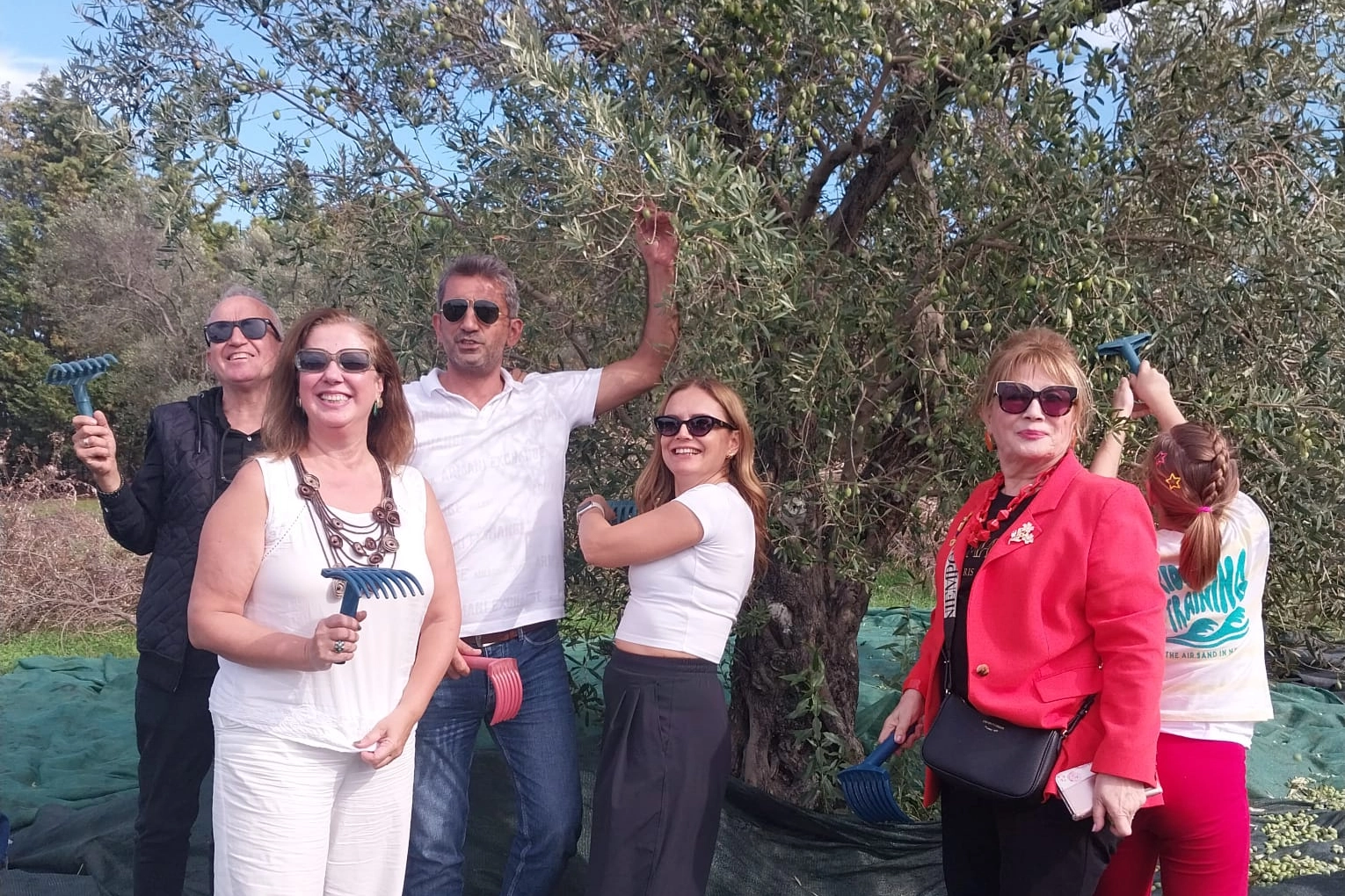 Urla’da zeytin hasadı etkinliği