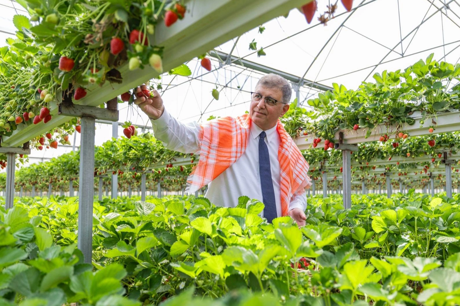 İzmir Büyükşehir’den çiftçiye 550 milyon TL’lik nefes