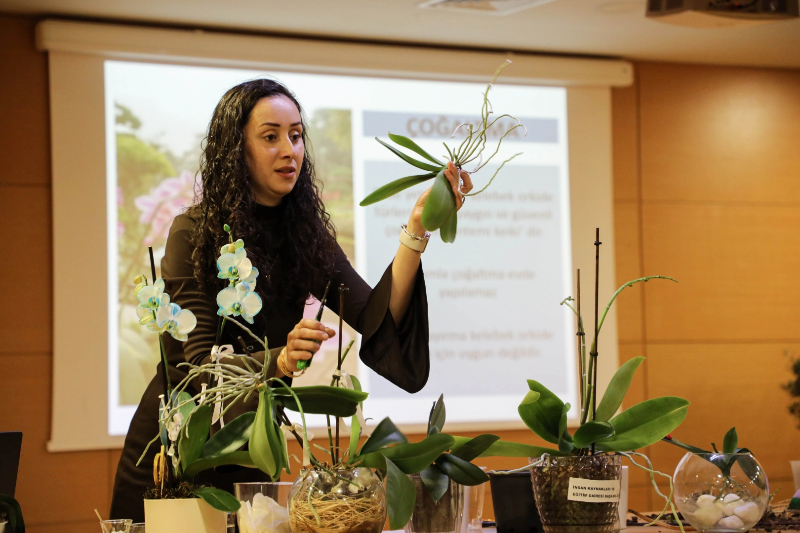 Antalya’da vatandaşlara orkide bakımı eğitimi